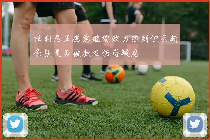 帕利尼亚愿意继续效力热刺但买断条款是否被激活仍存疑虑